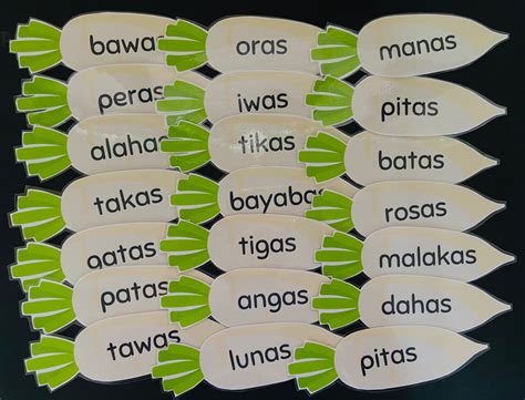 Mga salitang nagtatapos sa ak .